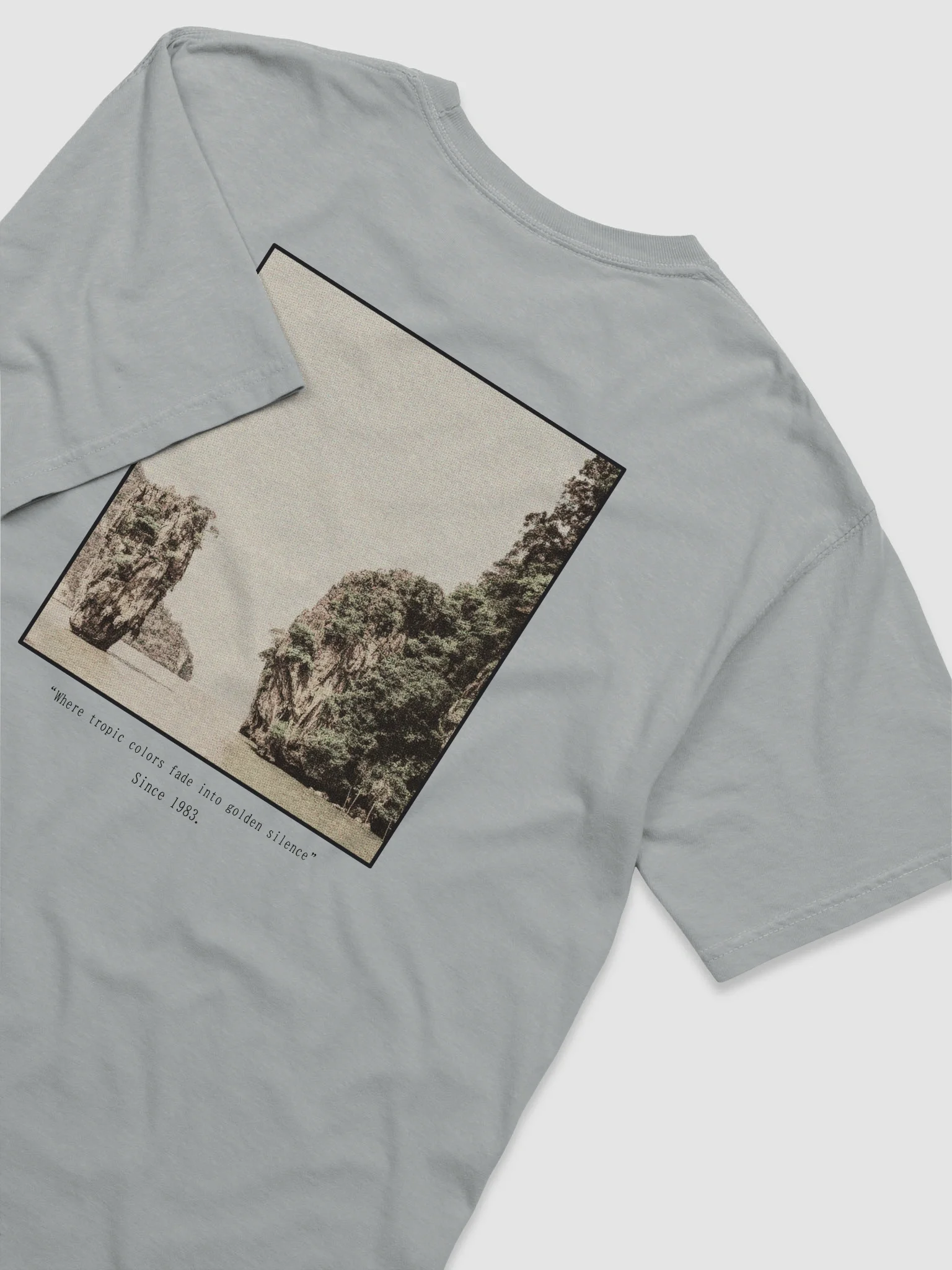 Tropic fade Garment-Dyed Heavy tee product image (6)