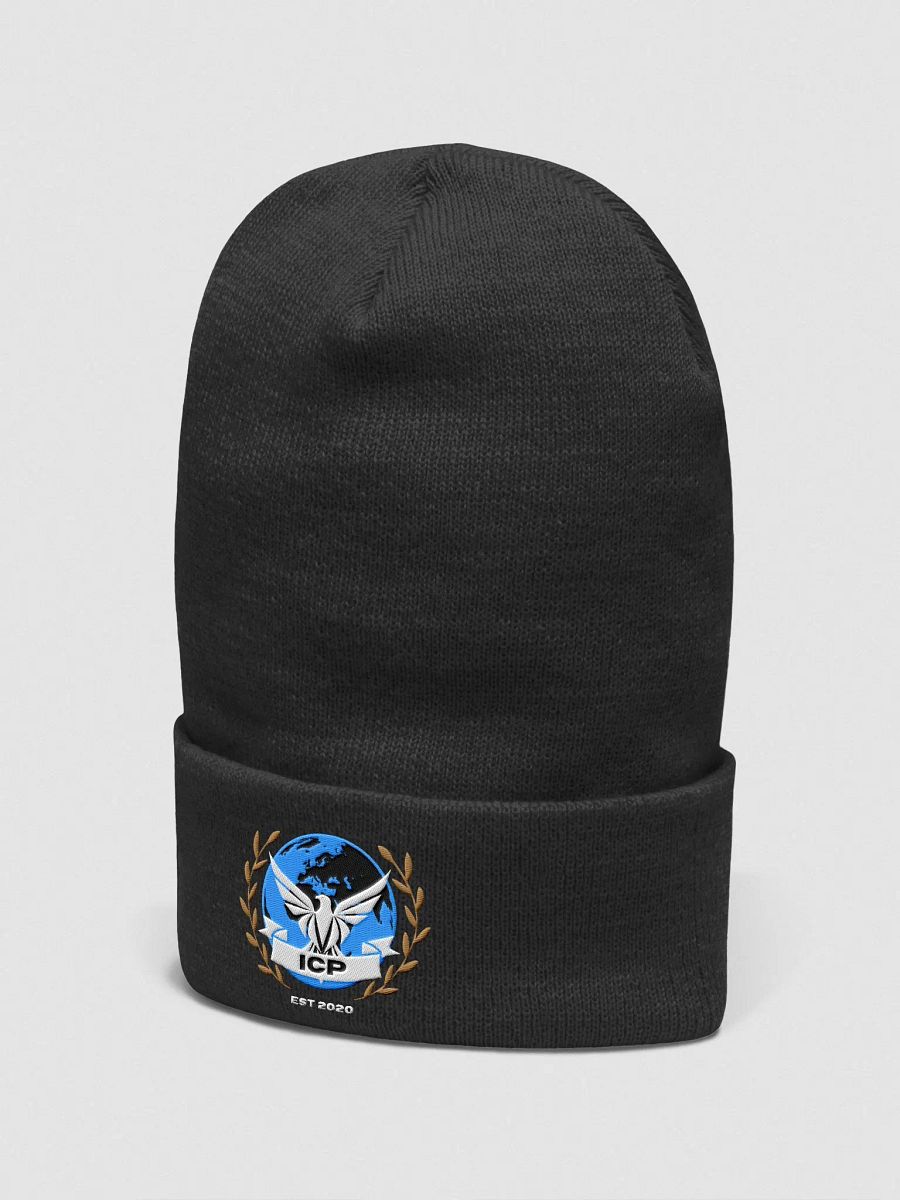 ICP Beanie product image (2)
