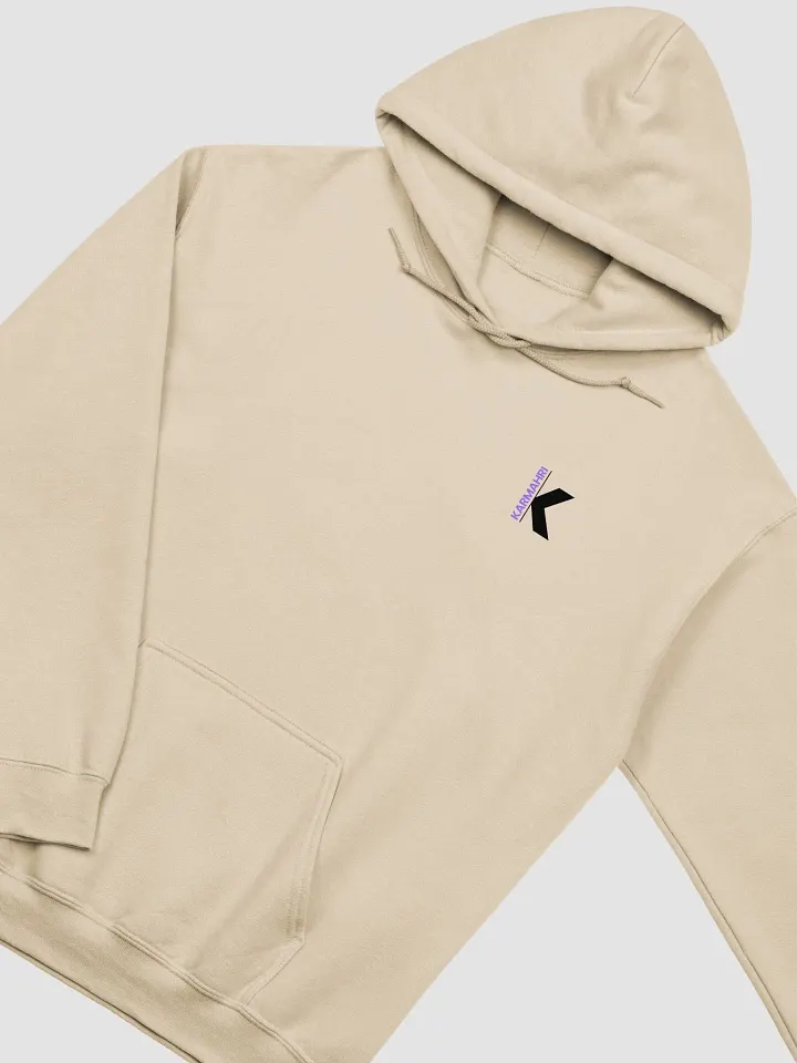 Clasic Hoodie (Color Logo) product image (2)