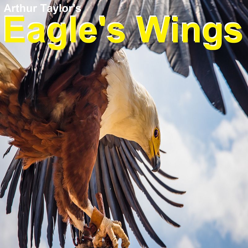 Eagle's Wings written, produced and performed by Arthur Taylor (WAV File)