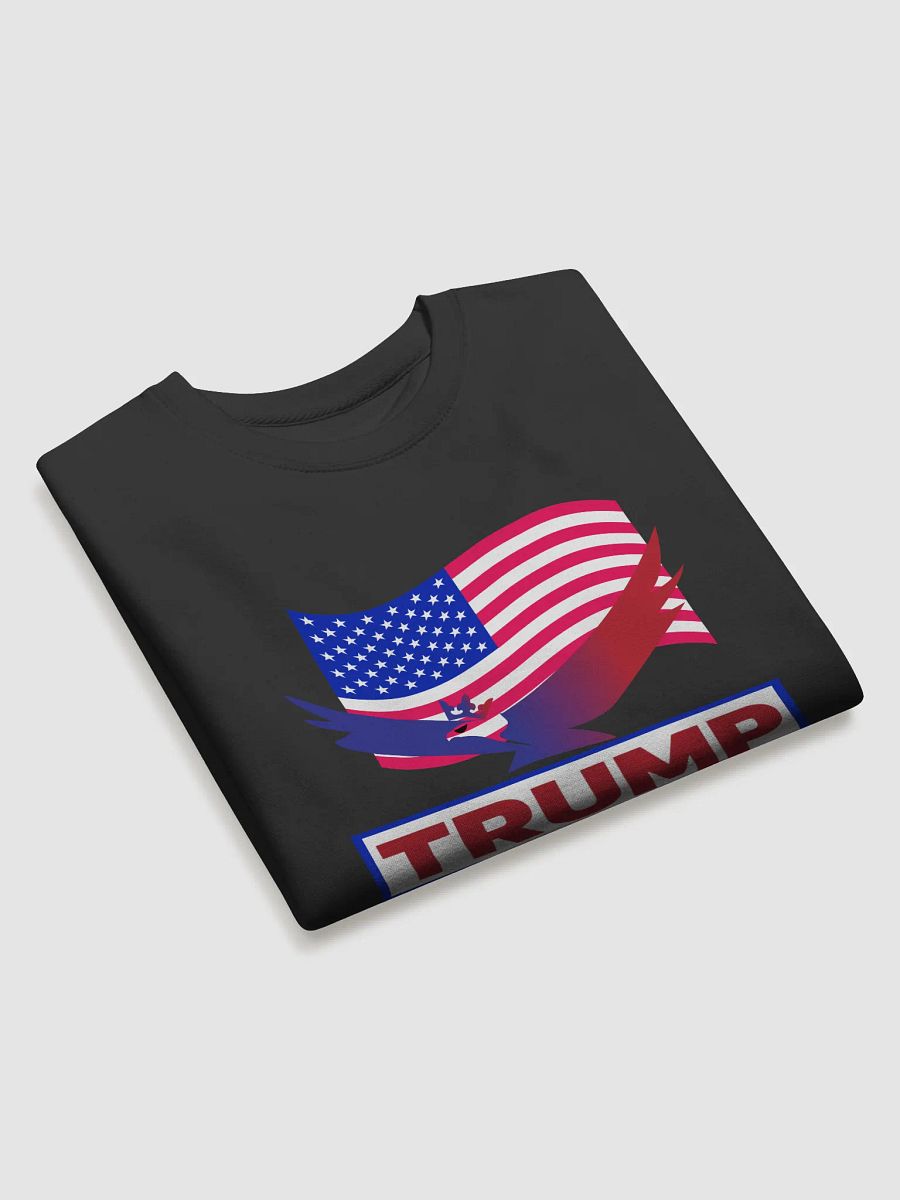 Patriotic Eagle 2024 Sweatshirt product image (3)