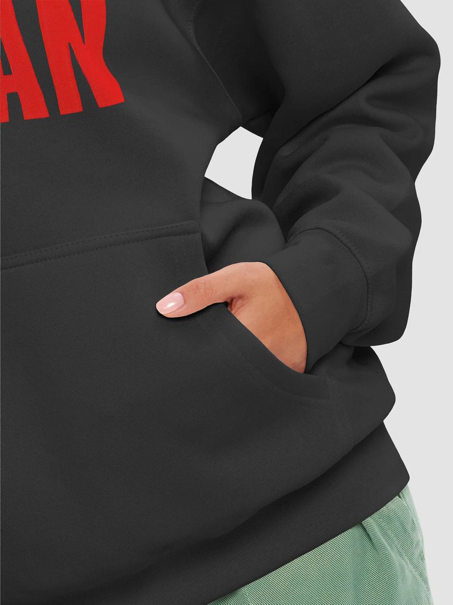 GOD'S PLAN Premium Hoodie product image (8)