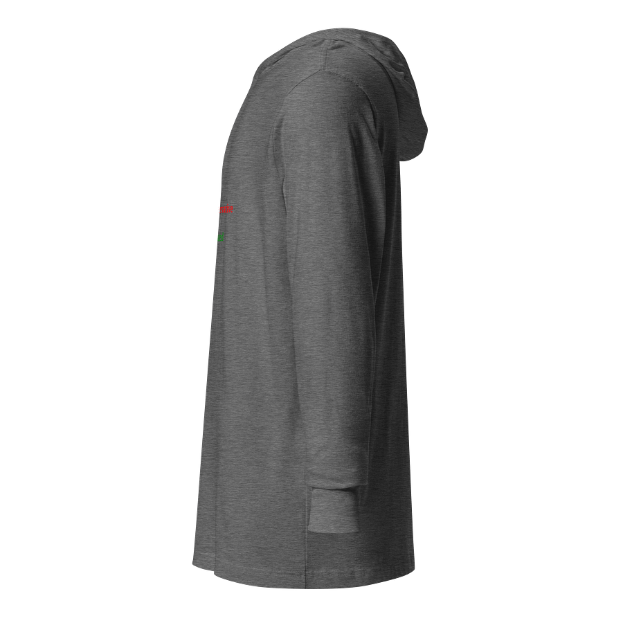 UFO Ultraconservative Family Oriented Hooded Tee product image (4)