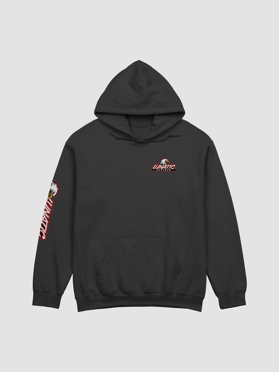 Lunatic Designs Hoodie product image (1)