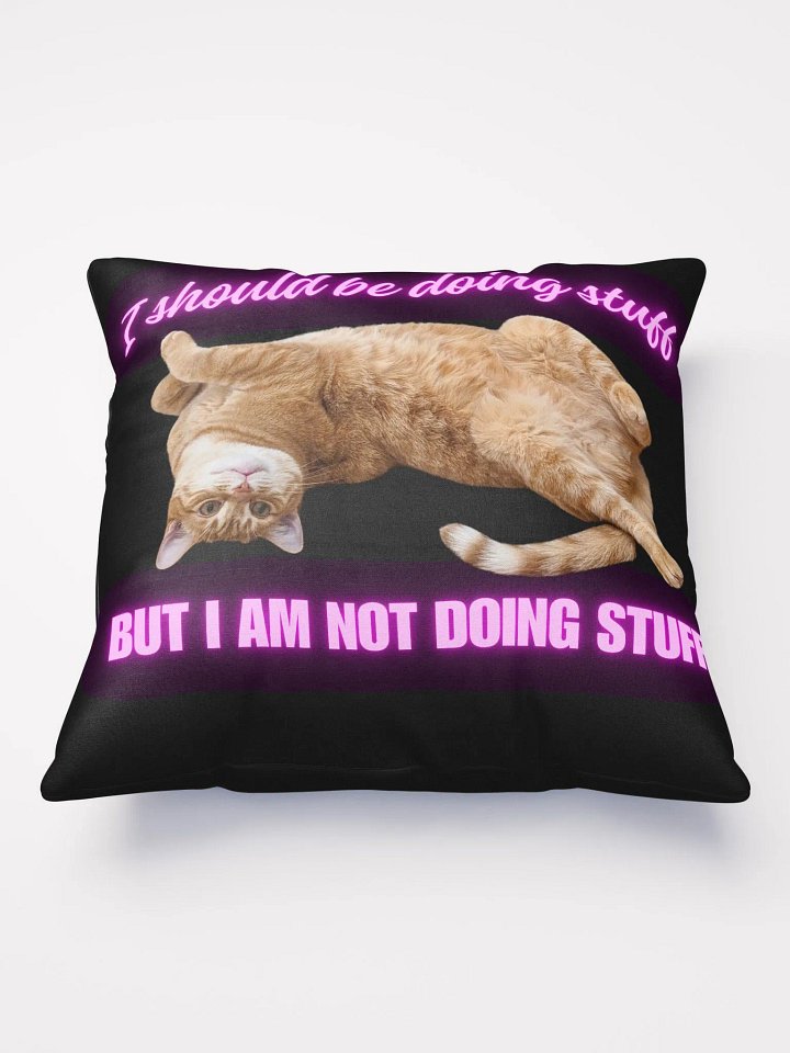Cat Pillow product image (2)