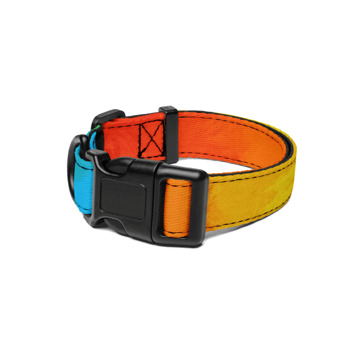 Pride Dog* Collar product image (1)