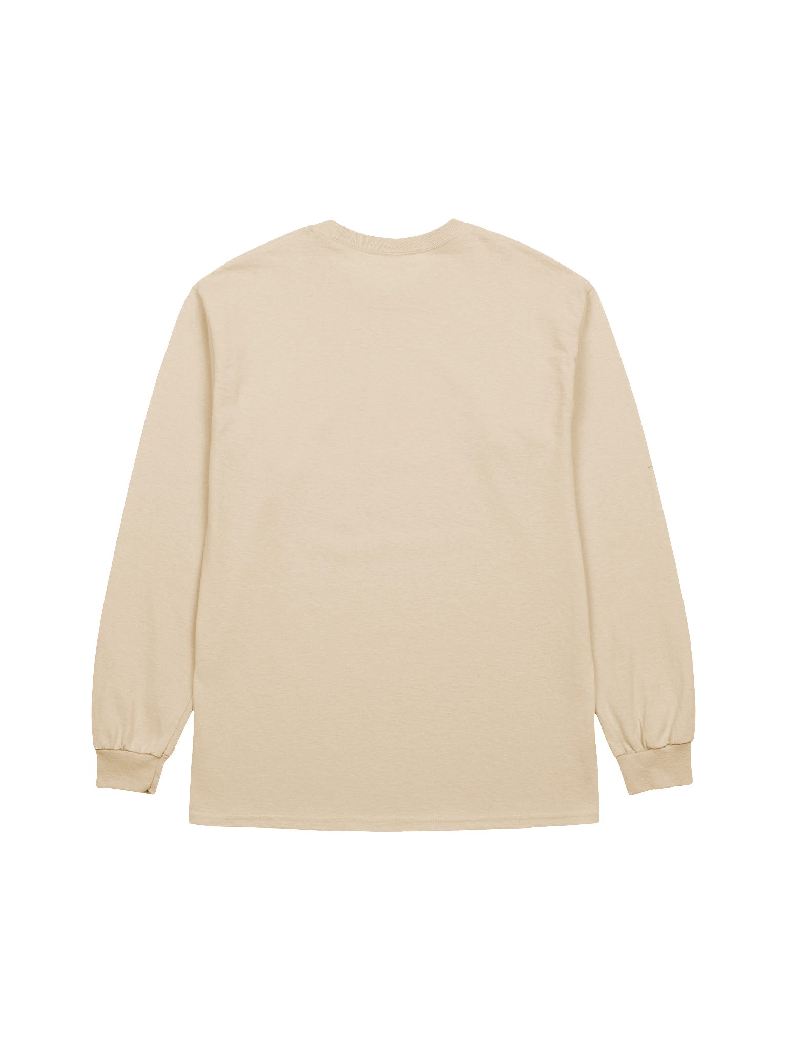 Ruby Briar - Long T-Shirt 2 product image (2)