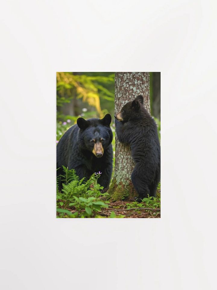 Forest Fun - Black Bears Hide and Seek Poster product image (1)