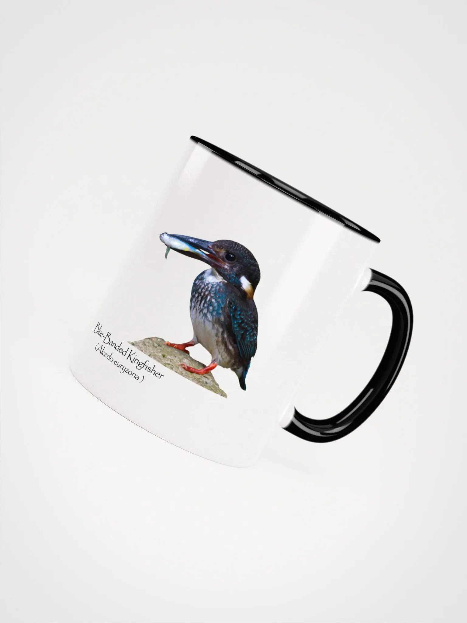 Blue-Banded Kingfisher mug product image (38)