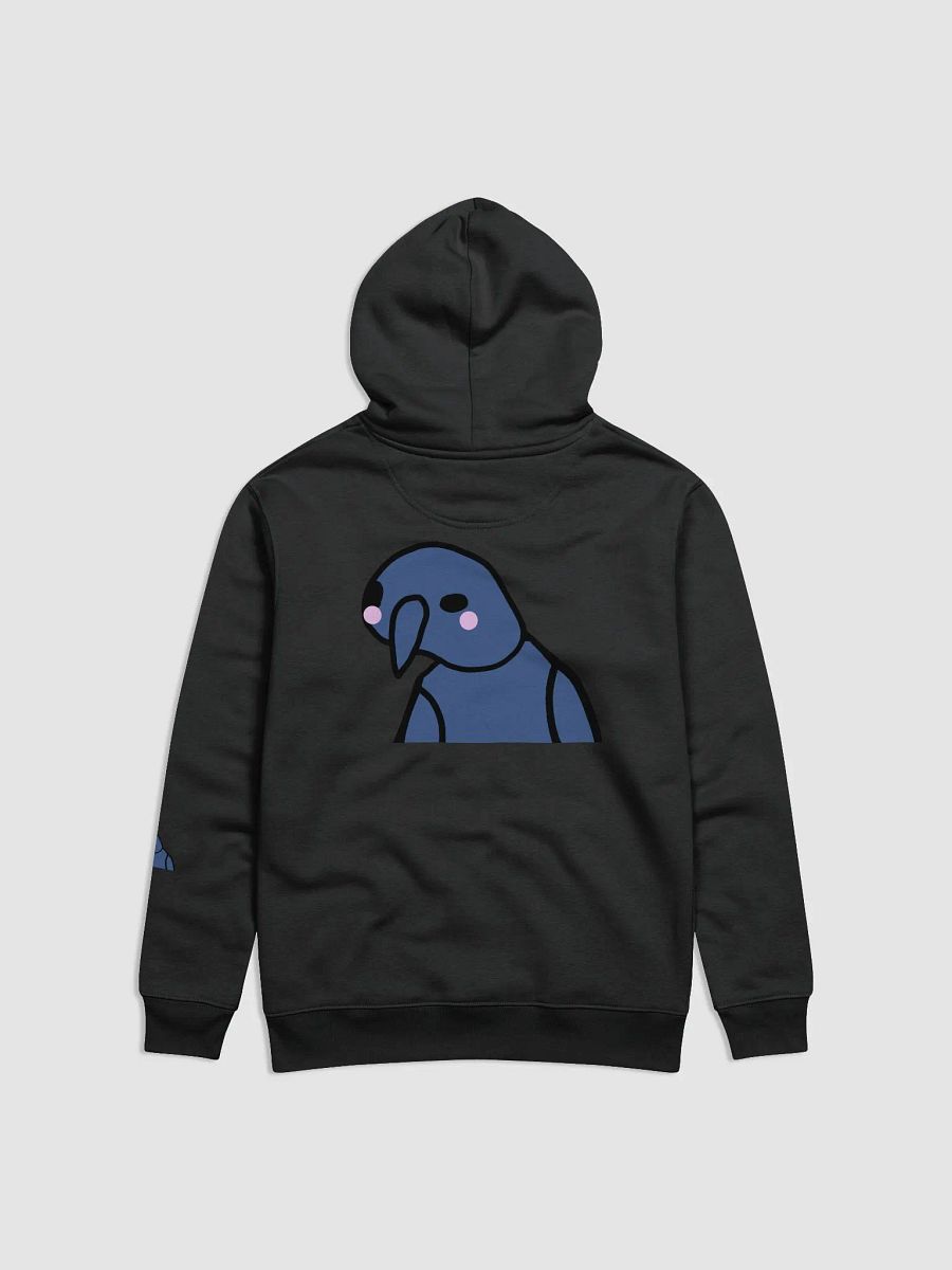 BlushSki Essential Eco Hoodie product image (2)