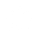 AceOfJ