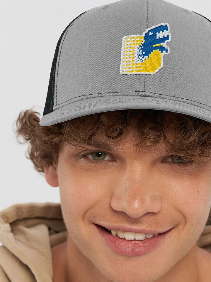 DigiHat product image (2)