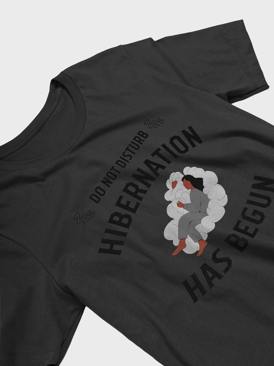 Do Not Disturb: Hibernation Has Begun Shirt product image (3)