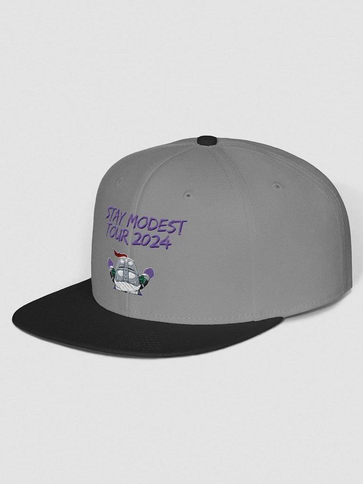 Stay Modest Tour product image (7)