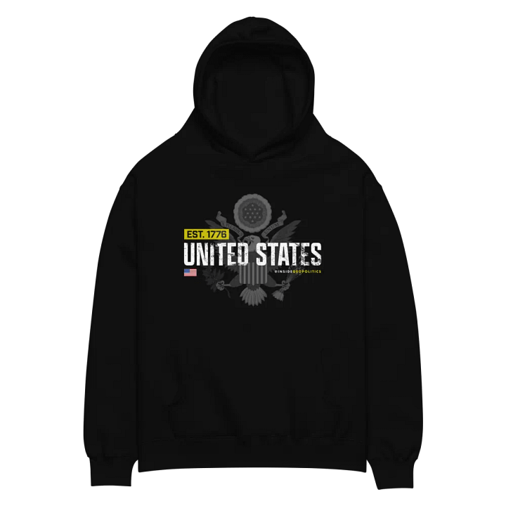 USA Hoodie product image (2)