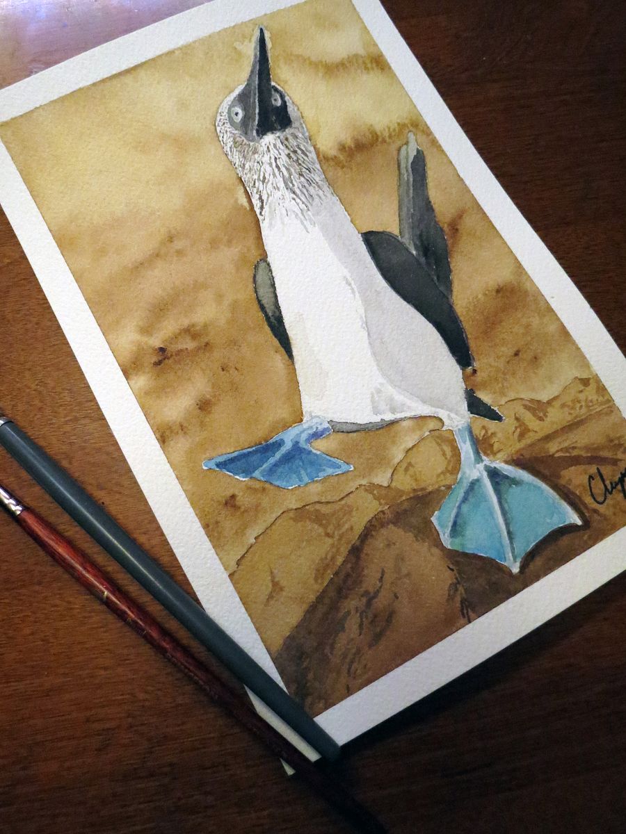 Blue Footed Booby - Original Watercolor Painting product image (1)