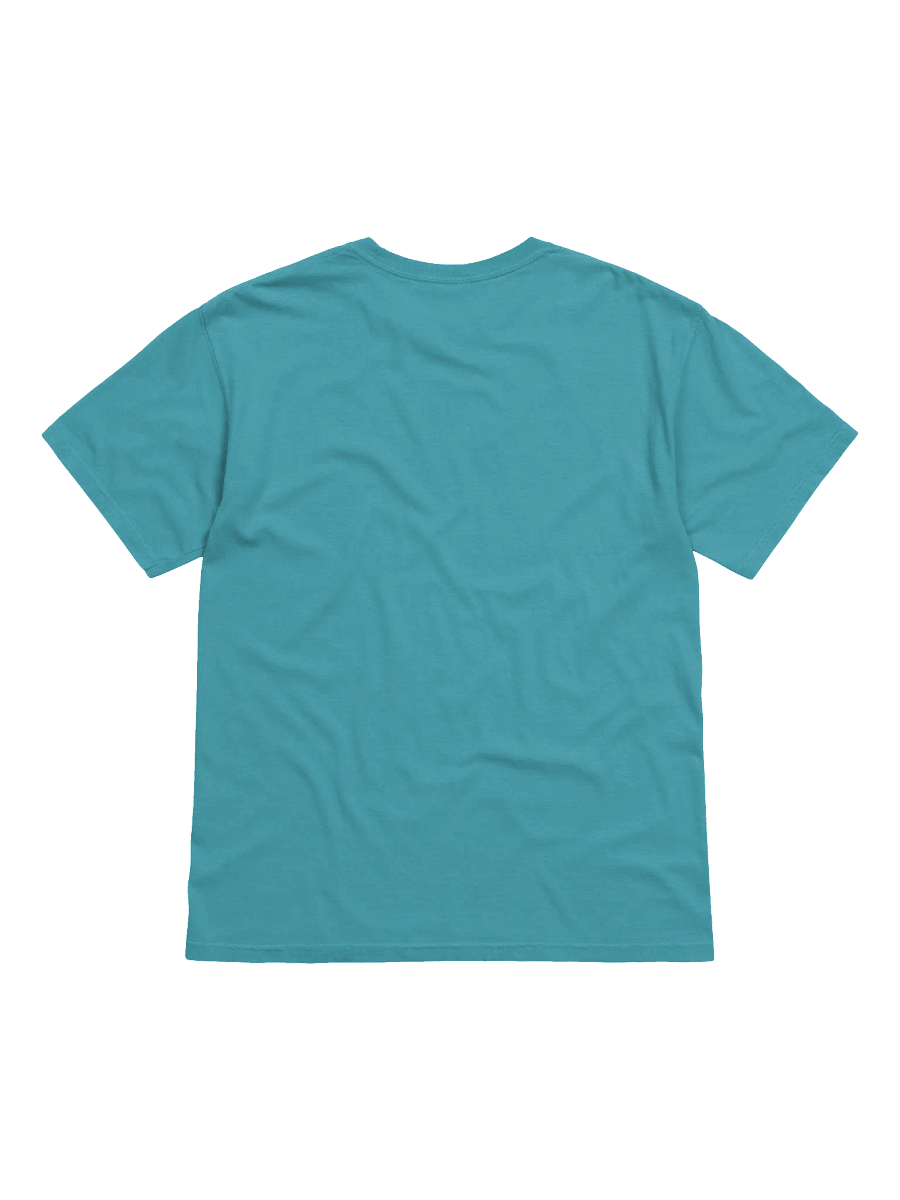 Today is the Day Shirt (loud) product image (6)