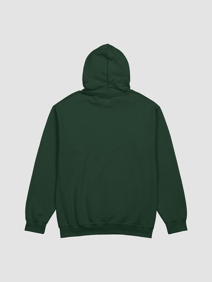 Skull Coin Pirate Hoodie product image (2)