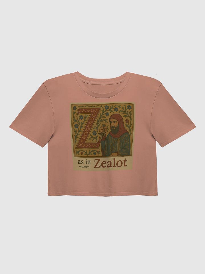 Z as in zealot crop top product image (2)