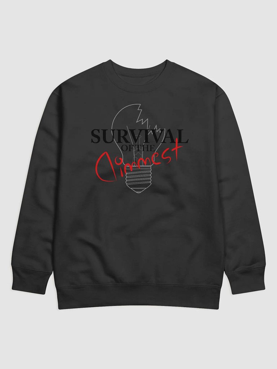 SotD Lightbulb Logo Sweatshirt product image (2)