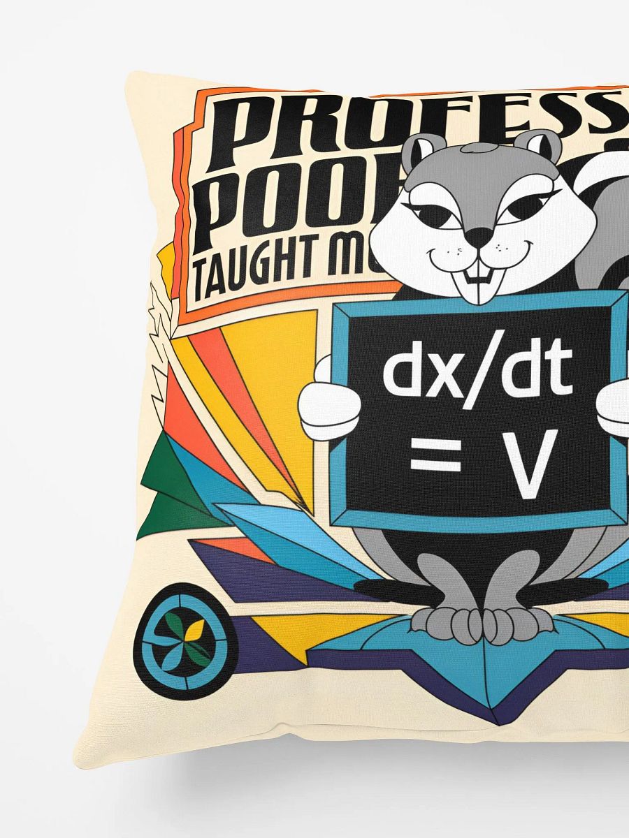 Comfy Pillow: Prof Pooky Taught Me calculus product image (5)