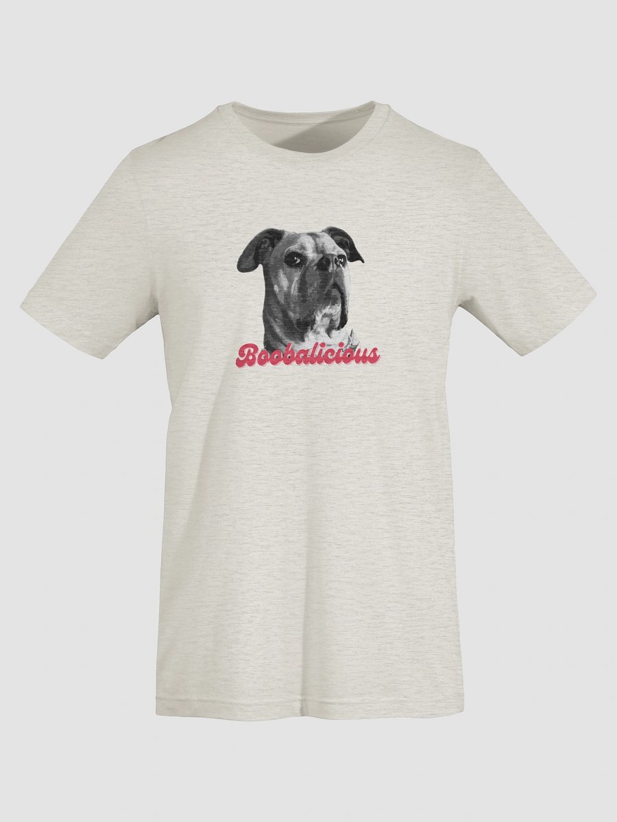 Boobalicious Unisex Graphic Tee product image (77)