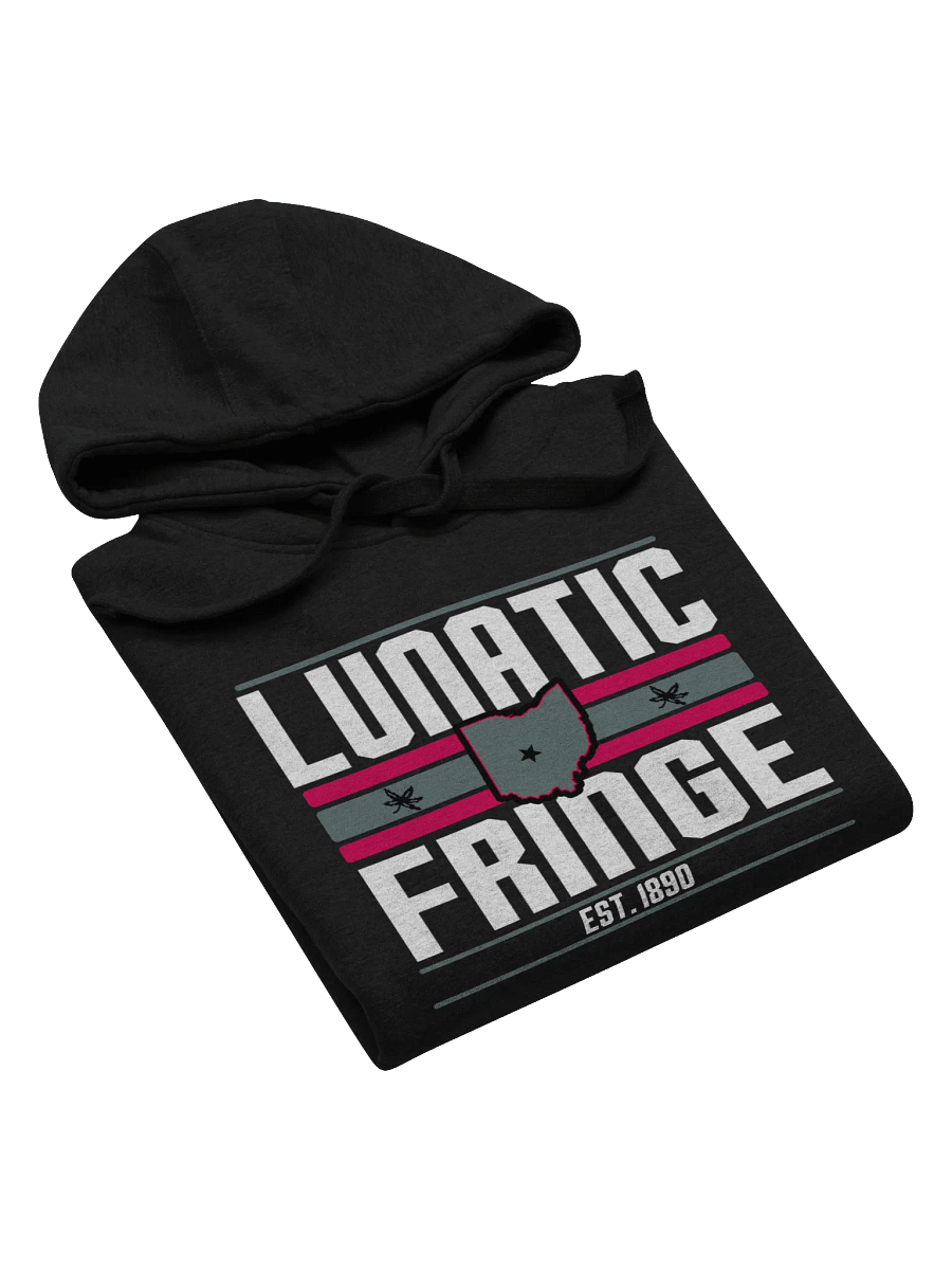 Lunatic Fringe Hoodie product image (3)