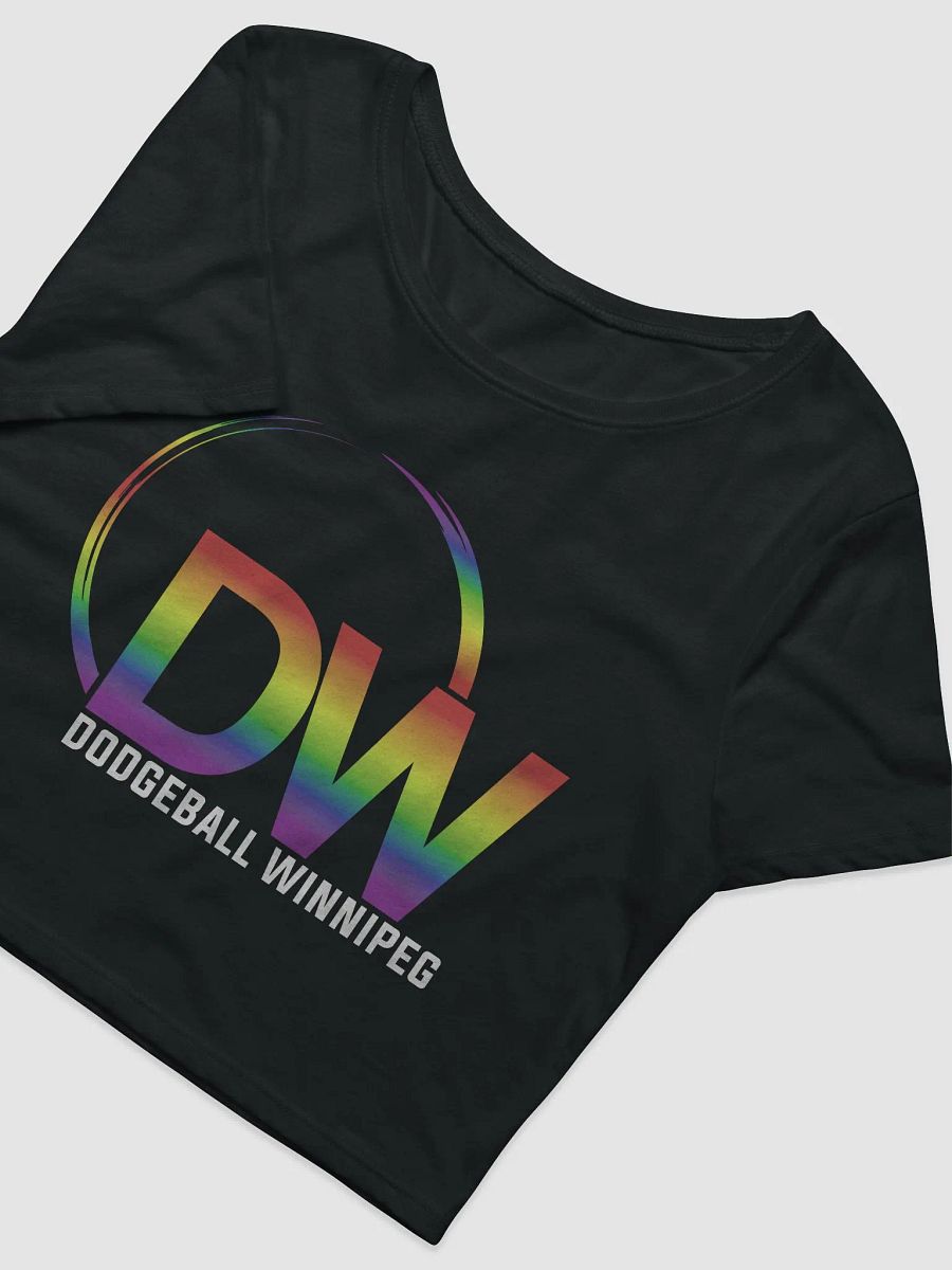Dodgeball Winnipeg 