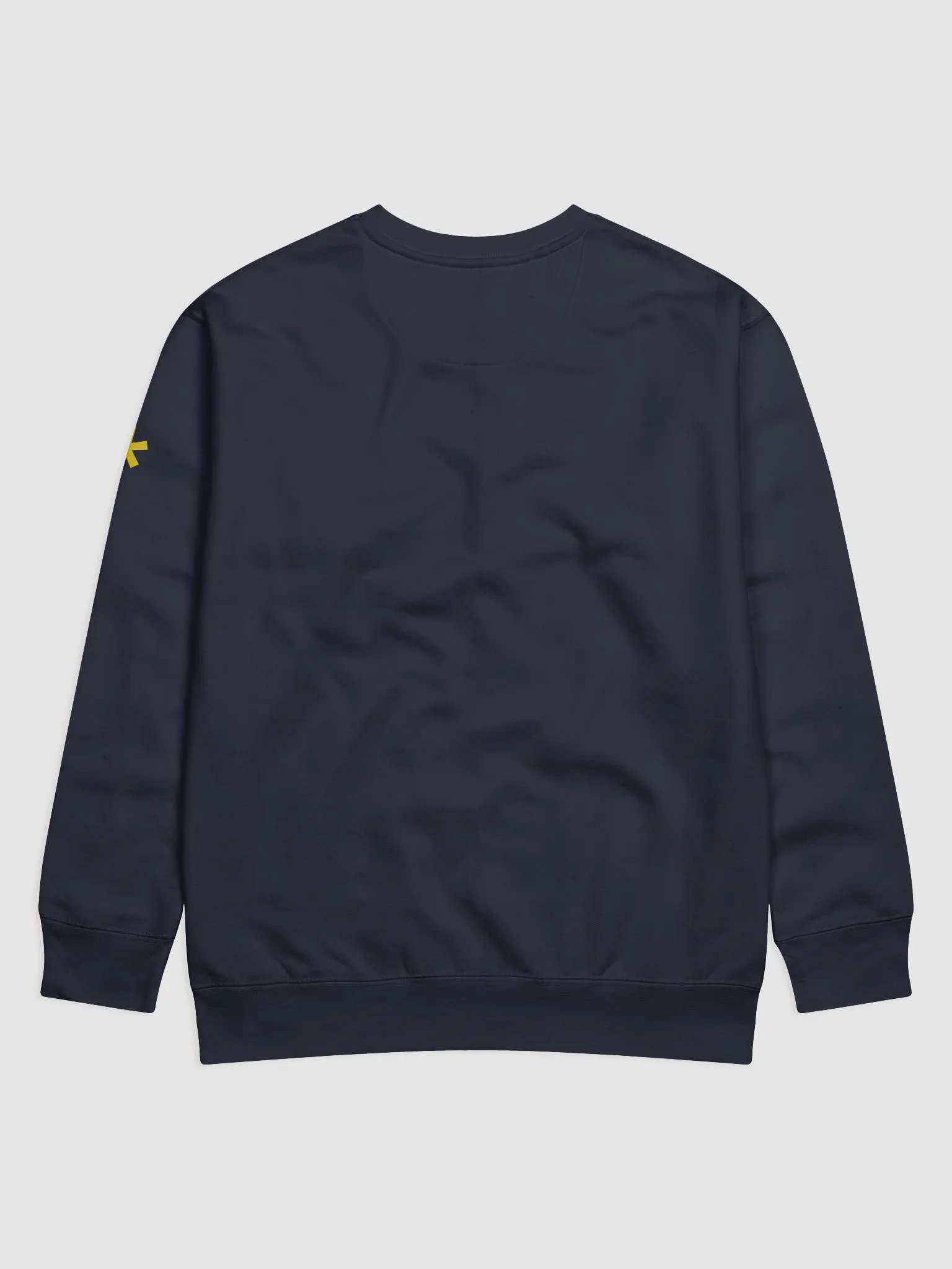 Introvert Premium Sweatshirt product image (4)