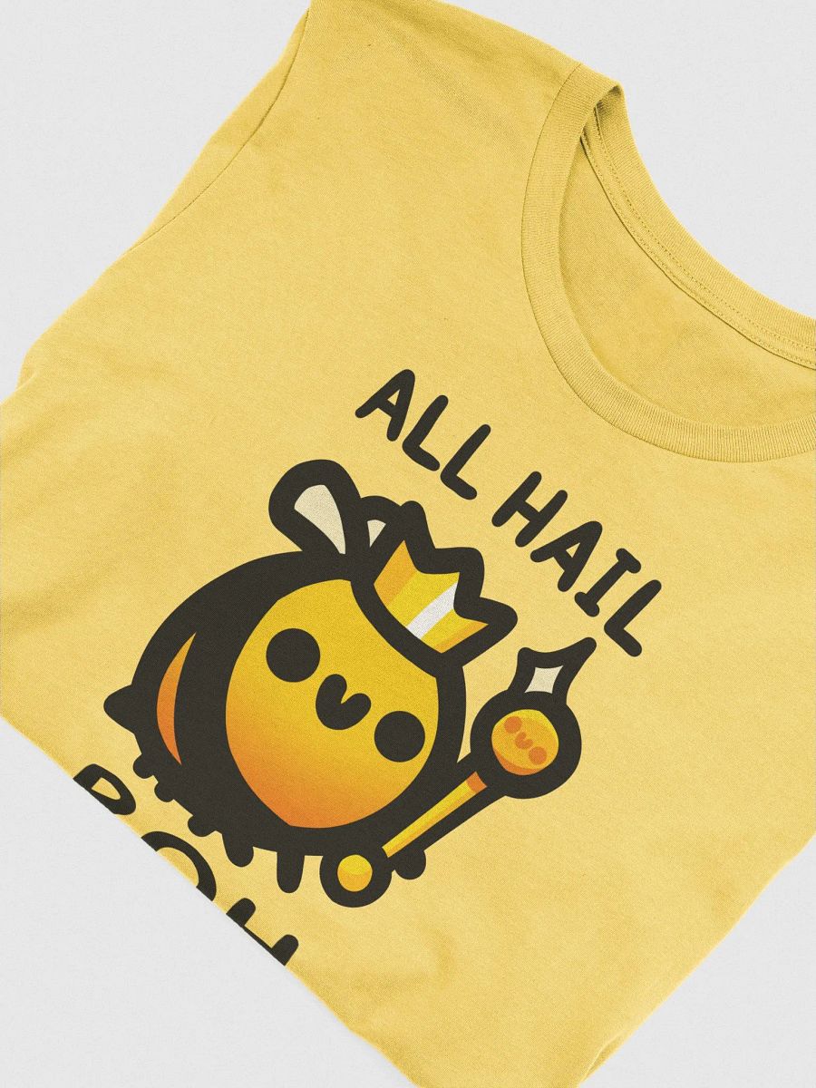 All Hail BOH Shirt product image (37)