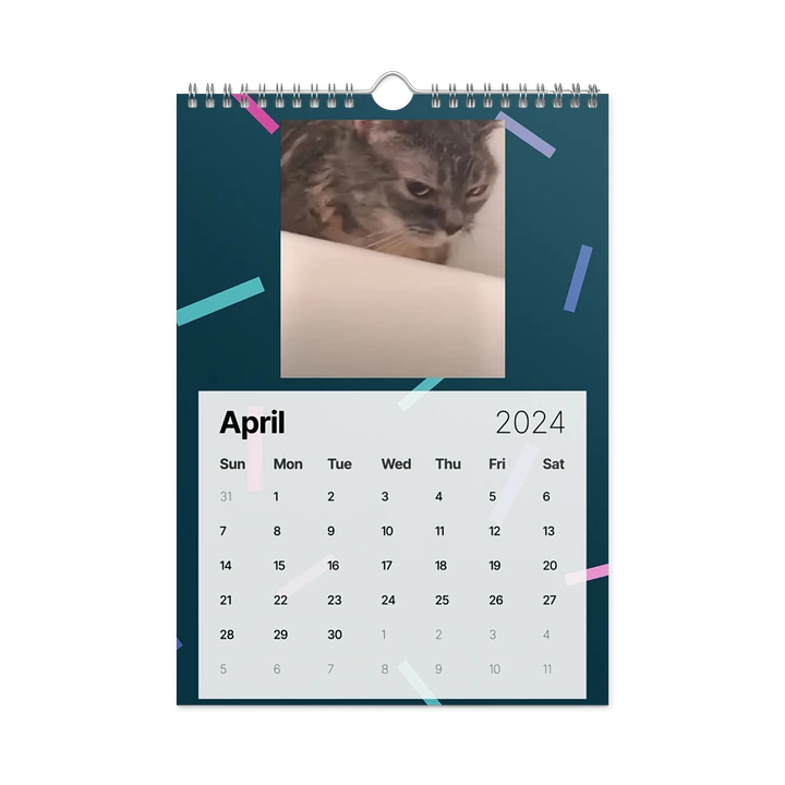 Wall Calendar (2024): Meme Cats product image (2)