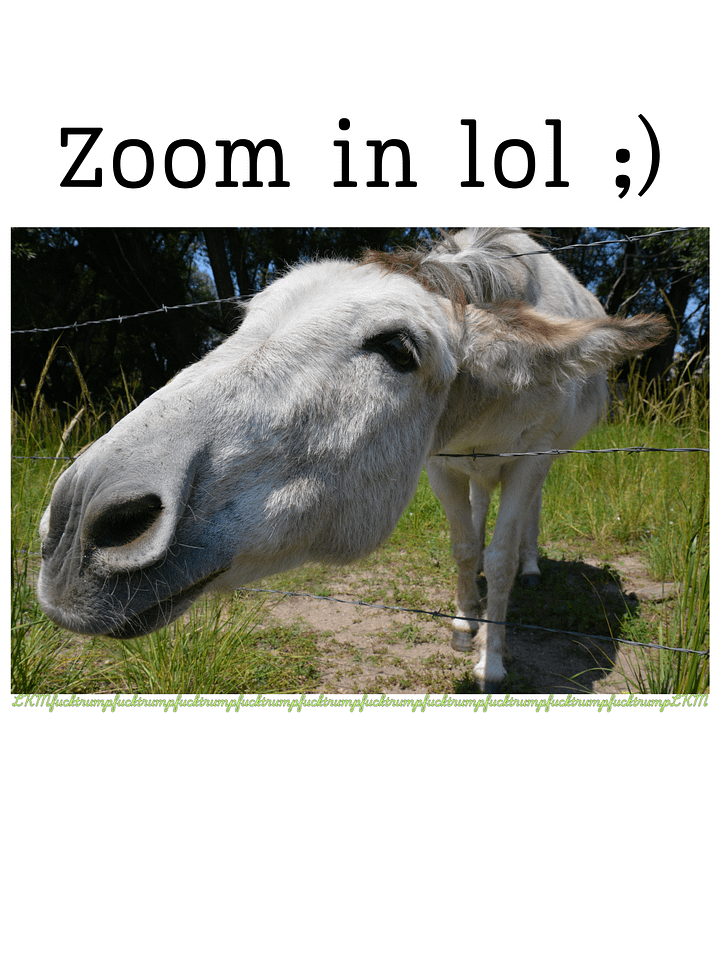 Donkey Says FT LKM Organic Tee product image (2)