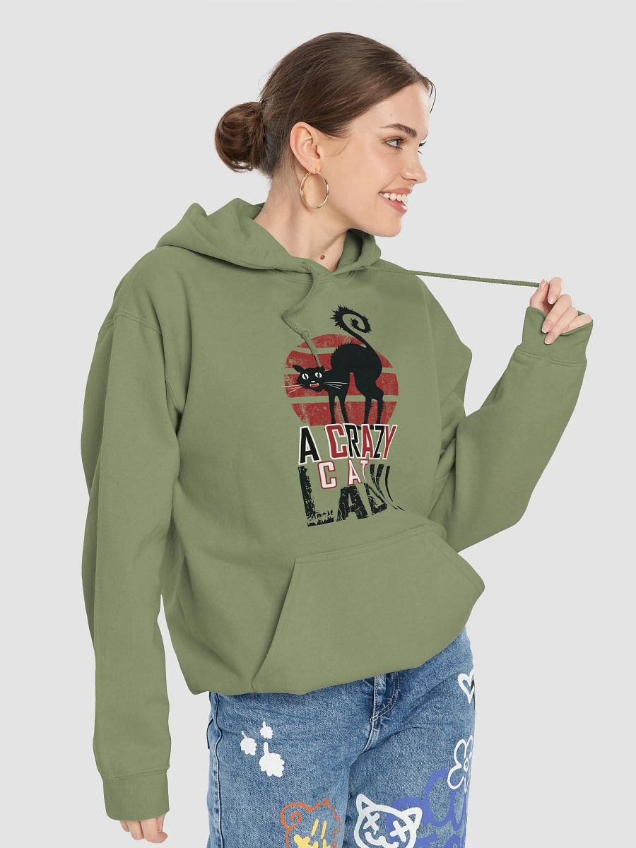 A Crazy Cat Lady product image (106)