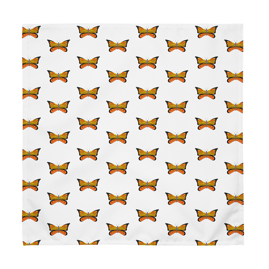 Customizable Cloth Napkin Set: Set of 4 product image (1)