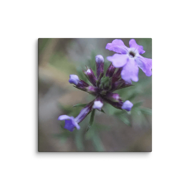 Flower Canvas product image (2)