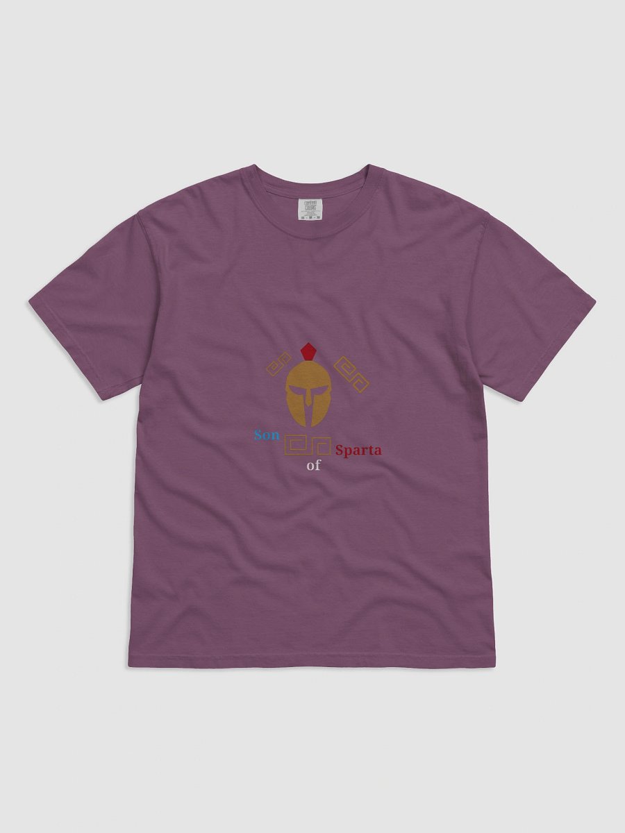 Spartan Legacy Geometric T-Shirt product image (1)