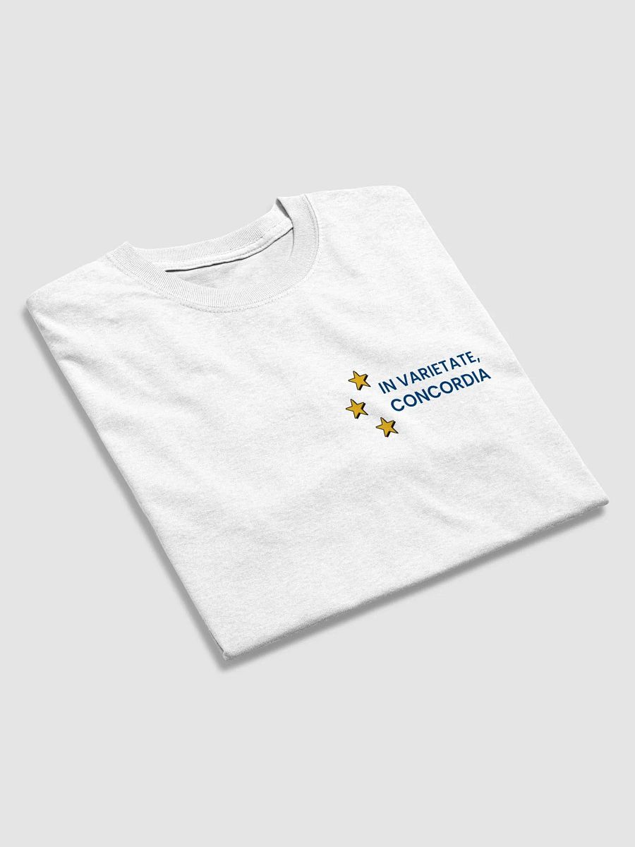 Heavy T-Shirt - In Varietate, Concordia & EU Map - White & Variants product image (3)