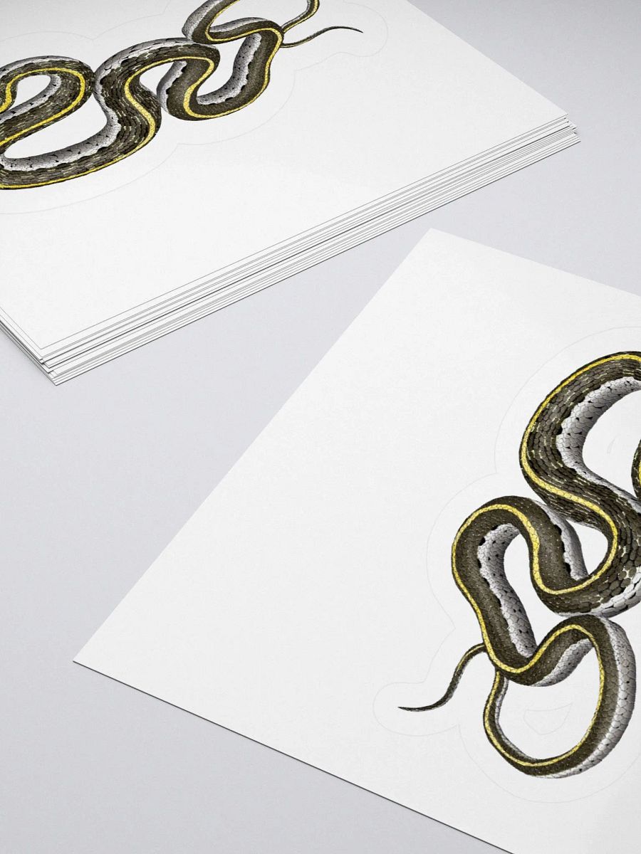 Die-Cut Sticker – Blacknecked Gartersnake product image (10)