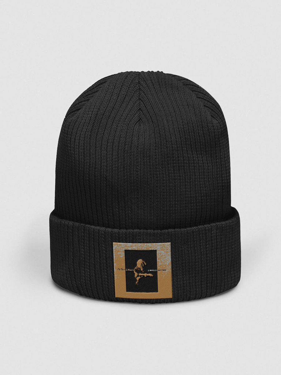 Peter Lewis - Imagination Embroidered Organic Ribbed Beanie product image (1)