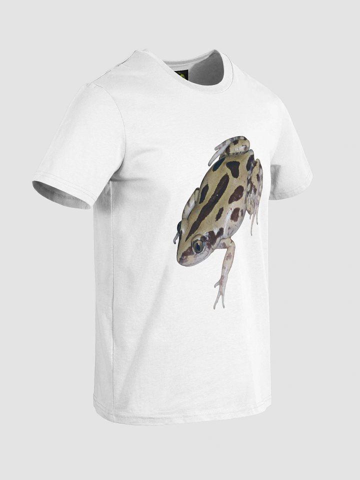 Bubbling Kassina Organic Cotton T-Shirt -plain product image (2)