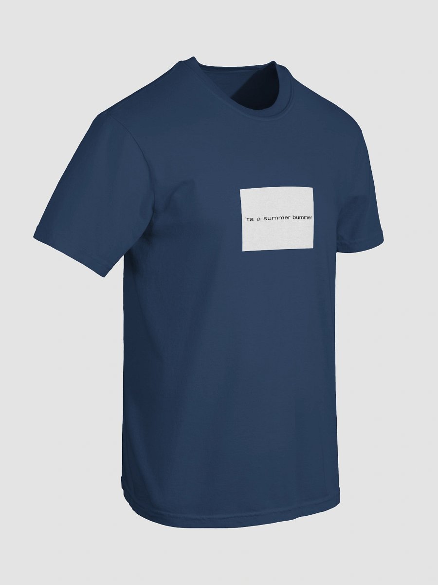 its a summer bummer product image (19)