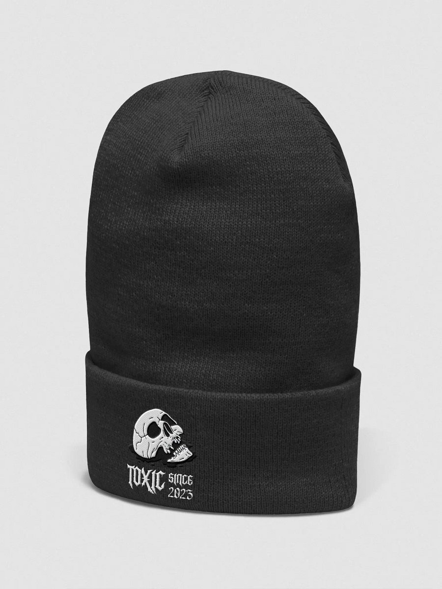 Toxic Skull Beanie product image (3)