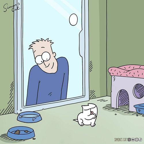 'Pick me, Choose me, Love me' or how Simon adopted his Cat! 😸🥲