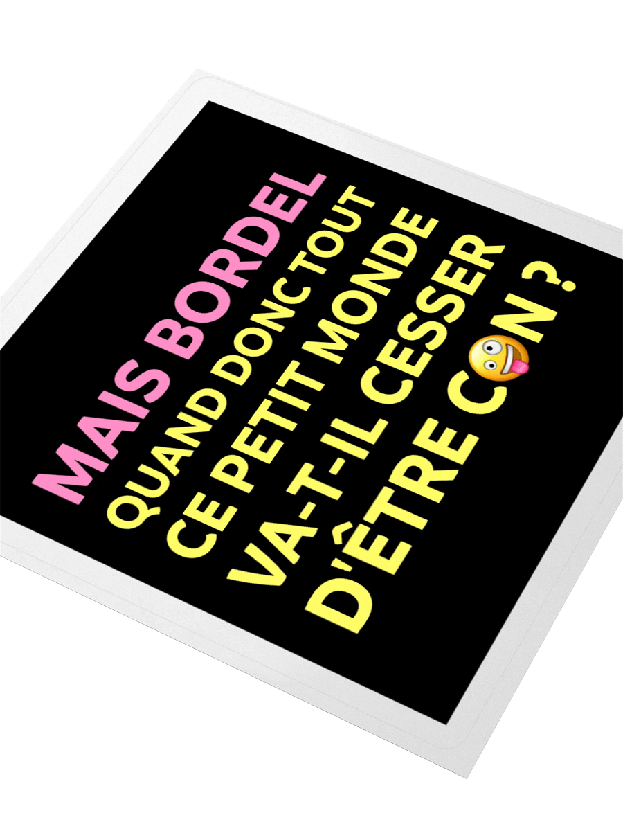 Mais Bordel • Dumb & Dumber Edition Sticker product image (3)