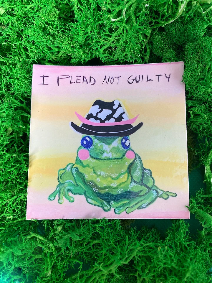 Not Guilty Frog product image (1)