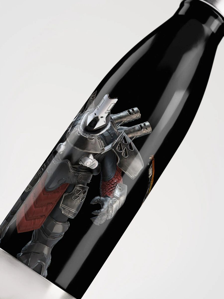 Stainless Steel Water Bottle Destiny 2 product image (9)