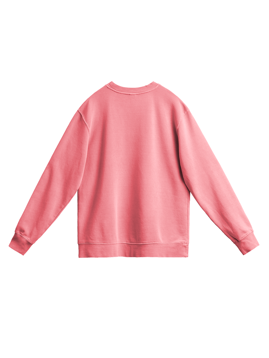 California | Los Angeles Sweatshirt product image (16)