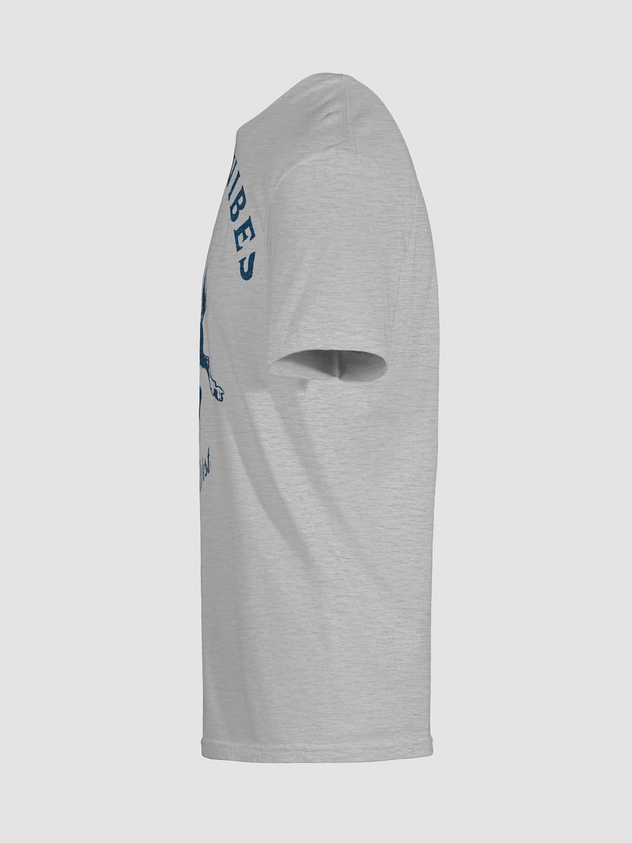 Desert Vibes product image (9)