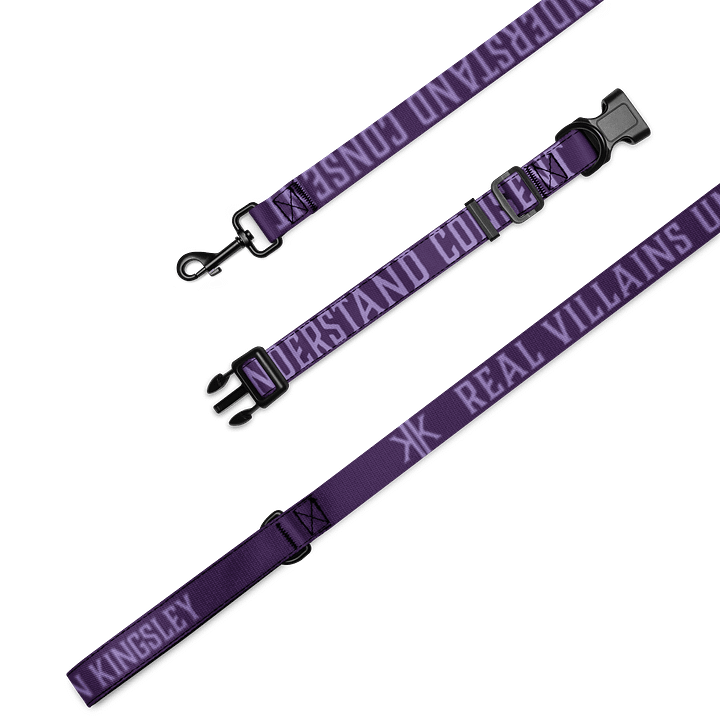 Real Villains Understand Consent - Leash & Collar Set product image (1)