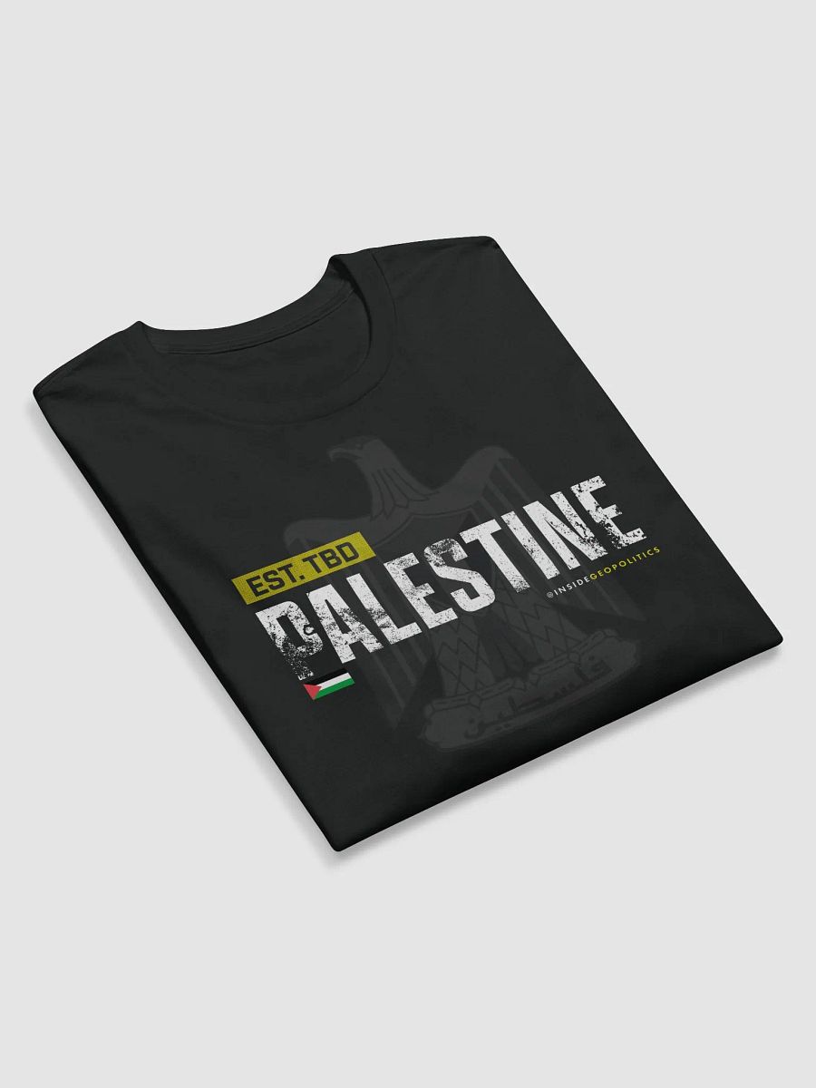 Palestine Long Sleeve T product image (5)